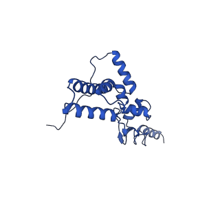 11292_6zmi_SJ_v1-1
SARS-CoV-2 Nsp1 bound to the human LYAR-80S ribosome complex