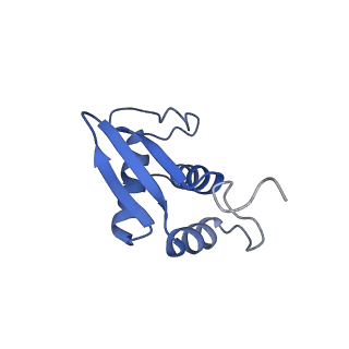 11292_6zmi_SK_v1-1
SARS-CoV-2 Nsp1 bound to the human LYAR-80S ribosome complex
