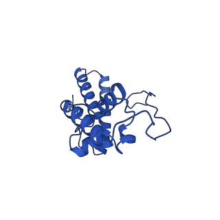 11292_6zmi_SN_v1-1
SARS-CoV-2 Nsp1 bound to the human LYAR-80S ribosome complex