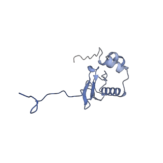11292_6zmi_SP_v1-1
SARS-CoV-2 Nsp1 bound to the human LYAR-80S ribosome complex