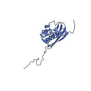 11292_6zmi_SQ_v1-1
SARS-CoV-2 Nsp1 bound to the human LYAR-80S ribosome complex