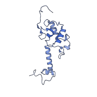 11292_6zmi_SS_v1-1
SARS-CoV-2 Nsp1 bound to the human LYAR-80S ribosome complex