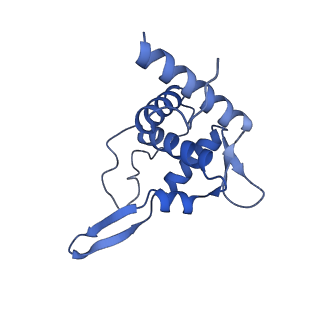 11292_6zmi_ST_v1-1
SARS-CoV-2 Nsp1 bound to the human LYAR-80S ribosome complex