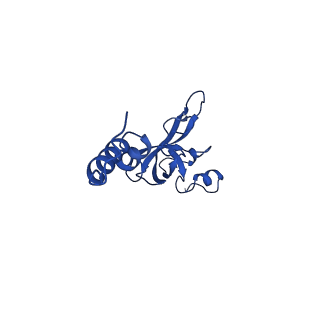 11292_6zmi_SX_v1-1
SARS-CoV-2 Nsp1 bound to the human LYAR-80S ribosome complex