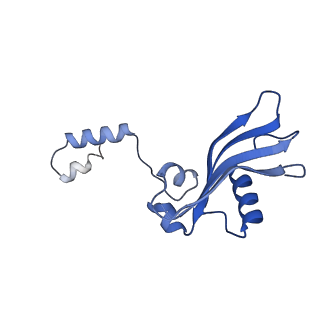 11292_6zmi_SY_v1-1
SARS-CoV-2 Nsp1 bound to the human LYAR-80S ribosome complex