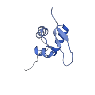 11292_6zmi_SZ_v1-1
SARS-CoV-2 Nsp1 bound to the human LYAR-80S ribosome complex