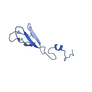 11292_6zmi_Sb_v1-1
SARS-CoV-2 Nsp1 bound to the human LYAR-80S ribosome complex