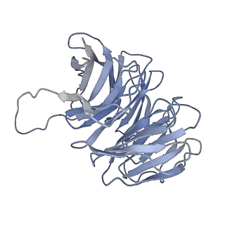 11292_6zmi_Sg_v1-1
SARS-CoV-2 Nsp1 bound to the human LYAR-80S ribosome complex