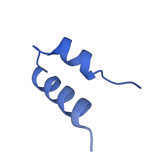 11292_6zmi_i_v1-1
SARS-CoV-2 Nsp1 bound to the human LYAR-80S ribosome complex