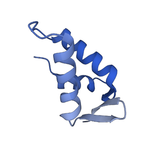 11299_6zmo_CE_v1-1
SARS-CoV-2 Nsp1 bound to the human LYAR-80S-eEF1a ribosome complex