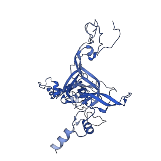 11299_6zmo_LB_v1-1
SARS-CoV-2 Nsp1 bound to the human LYAR-80S-eEF1a ribosome complex