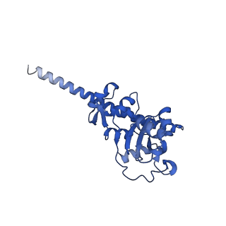 11299_6zmo_LF_v1-1
SARS-CoV-2 Nsp1 bound to the human LYAR-80S-eEF1a ribosome complex