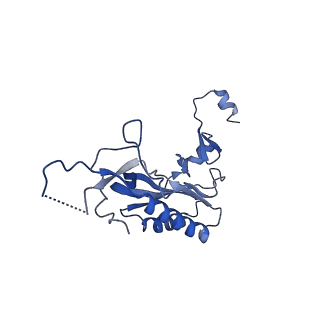 11299_6zmo_LI_v1-1
SARS-CoV-2 Nsp1 bound to the human LYAR-80S-eEF1a ribosome complex