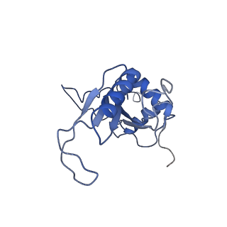 11299_6zmo_LJ_v1-1
SARS-CoV-2 Nsp1 bound to the human LYAR-80S-eEF1a ribosome complex