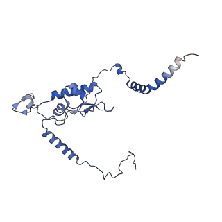 11299_6zmo_LL_v1-1
SARS-CoV-2 Nsp1 bound to the human LYAR-80S-eEF1a ribosome complex