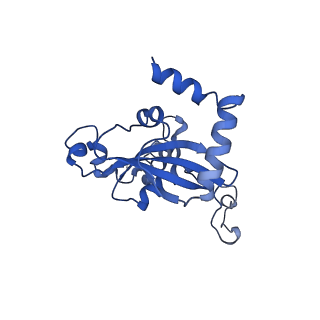 11299_6zmo_LN_v1-1
SARS-CoV-2 Nsp1 bound to the human LYAR-80S-eEF1a ribosome complex