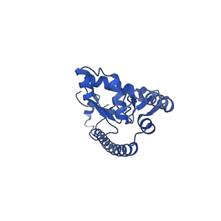 11299_6zmo_LO_v1-1
SARS-CoV-2 Nsp1 bound to the human LYAR-80S-eEF1a ribosome complex