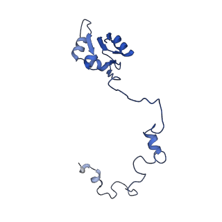 11299_6zmo_La_v1-1
SARS-CoV-2 Nsp1 bound to the human LYAR-80S-eEF1a ribosome complex