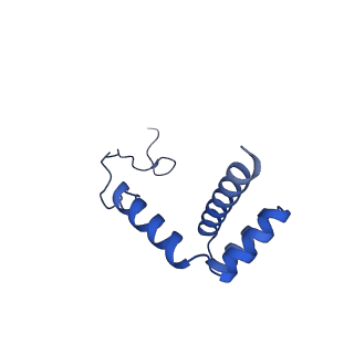 11299_6zmo_Li_v1-1
SARS-CoV-2 Nsp1 bound to the human LYAR-80S-eEF1a ribosome complex