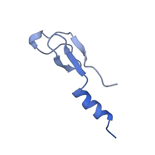 11299_6zmo_Lm_v1-1
SARS-CoV-2 Nsp1 bound to the human LYAR-80S-eEF1a ribosome complex