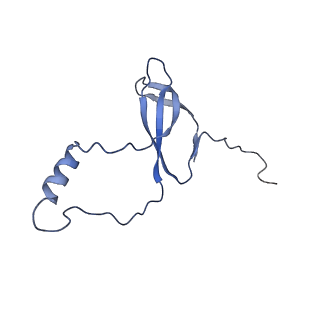 11299_6zmo_Lo_v1-1
SARS-CoV-2 Nsp1 bound to the human LYAR-80S-eEF1a ribosome complex
