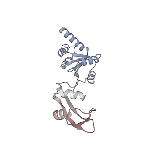 11299_6zmo_Ls_v1-1
SARS-CoV-2 Nsp1 bound to the human LYAR-80S-eEF1a ribosome complex