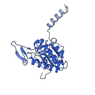 11299_6zmo_SA_v1-1
SARS-CoV-2 Nsp1 bound to the human LYAR-80S-eEF1a ribosome complex