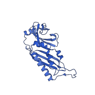 11299_6zmo_SB_v1-1
SARS-CoV-2 Nsp1 bound to the human LYAR-80S-eEF1a ribosome complex