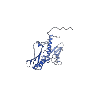 11299_6zmo_SD_v1-1
SARS-CoV-2 Nsp1 bound to the human LYAR-80S-eEF1a ribosome complex