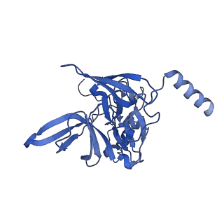 11299_6zmo_SE_v1-1
SARS-CoV-2 Nsp1 bound to the human LYAR-80S-eEF1a ribosome complex