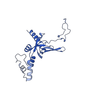 11299_6zmo_SI_v1-1
SARS-CoV-2 Nsp1 bound to the human LYAR-80S-eEF1a ribosome complex