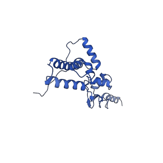 11299_6zmo_SJ_v1-1
SARS-CoV-2 Nsp1 bound to the human LYAR-80S-eEF1a ribosome complex