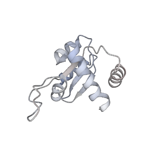 11299_6zmo_SM_v1-1
SARS-CoV-2 Nsp1 bound to the human LYAR-80S-eEF1a ribosome complex