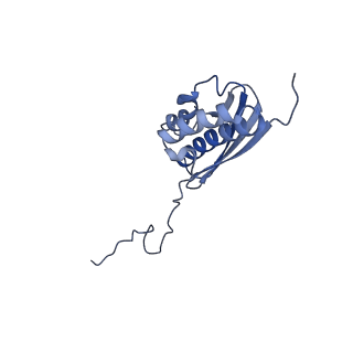 11299_6zmo_SQ_v1-1
SARS-CoV-2 Nsp1 bound to the human LYAR-80S-eEF1a ribosome complex