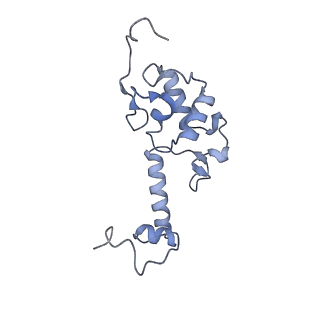 11299_6zmo_SS_v1-1
SARS-CoV-2 Nsp1 bound to the human LYAR-80S-eEF1a ribosome complex