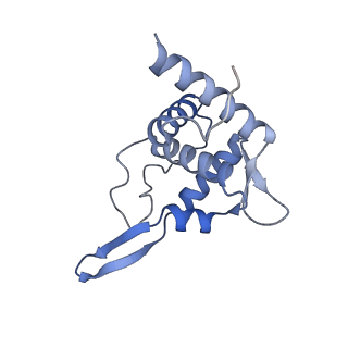 11299_6zmo_ST_v1-1
SARS-CoV-2 Nsp1 bound to the human LYAR-80S-eEF1a ribosome complex