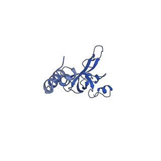 11299_6zmo_SX_v1-1
SARS-CoV-2 Nsp1 bound to the human LYAR-80S-eEF1a ribosome complex