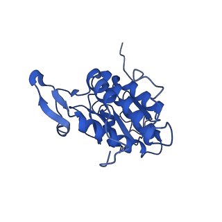 11301_6zmt_B_v1-1
SARS-CoV-2 Nsp1 bound to a pre-40S-like ribosome complex