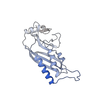 11301_6zmt_C_v1-1
SARS-CoV-2 Nsp1 bound to a pre-40S-like ribosome complex