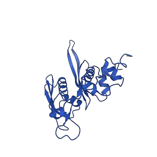 11301_6zmt_D_v1-1
SARS-CoV-2 Nsp1 bound to a pre-40S-like ribosome complex