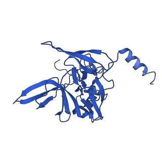 11301_6zmt_E_v1-1
SARS-CoV-2 Nsp1 bound to a pre-40S-like ribosome complex