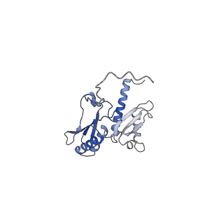 11301_6zmt_F_v1-1
SARS-CoV-2 Nsp1 bound to a pre-40S-like ribosome complex