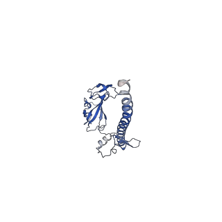 11301_6zmt_G_v1-1
SARS-CoV-2 Nsp1 bound to a pre-40S-like ribosome complex