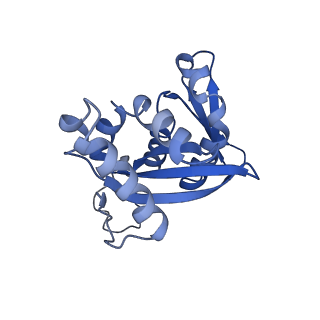 11301_6zmt_H_v1-1
SARS-CoV-2 Nsp1 bound to a pre-40S-like ribosome complex