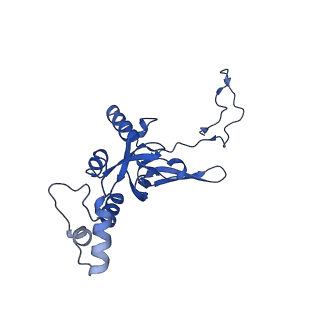 11301_6zmt_I_v1-1
SARS-CoV-2 Nsp1 bound to a pre-40S-like ribosome complex