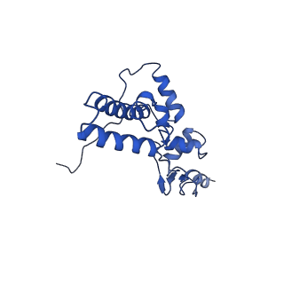11301_6zmt_J_v1-1
SARS-CoV-2 Nsp1 bound to a pre-40S-like ribosome complex