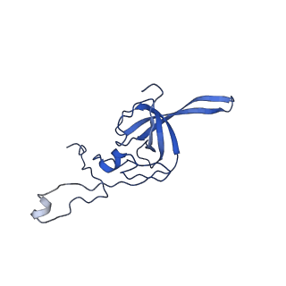 11301_6zmt_L_v1-1
SARS-CoV-2 Nsp1 bound to a pre-40S-like ribosome complex