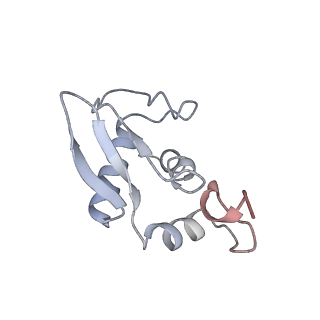 11301_6zmt_M_v1-1
SARS-CoV-2 Nsp1 bound to a pre-40S-like ribosome complex