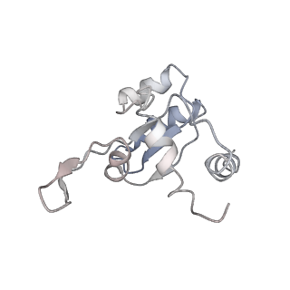 11301_6zmt_O_v1-1
SARS-CoV-2 Nsp1 bound to a pre-40S-like ribosome complex