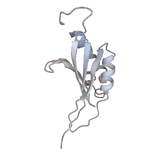 11301_6zmt_P_v1-1
SARS-CoV-2 Nsp1 bound to a pre-40S-like ribosome complex